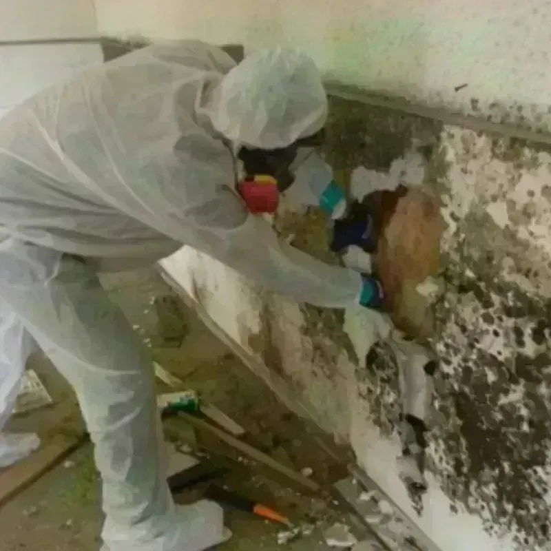 Mold Remediation and Removal in Merrimac, MA